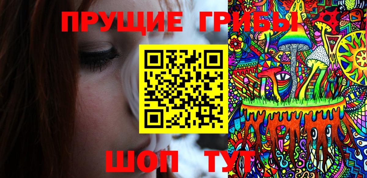 Шелехов  Псилоцибиновые грибы MAGIC MUSHROOMS  Вход с VPN  Псилоцибиновые грибы прущие грибы 